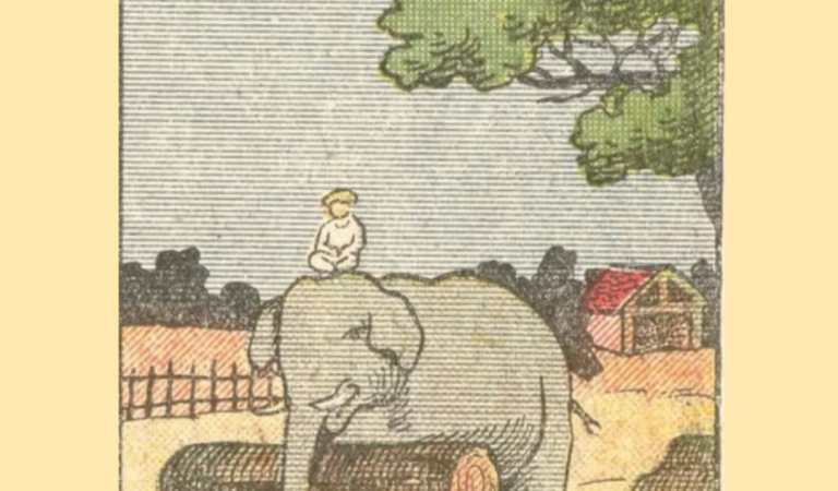 A horse is hiding in the picture